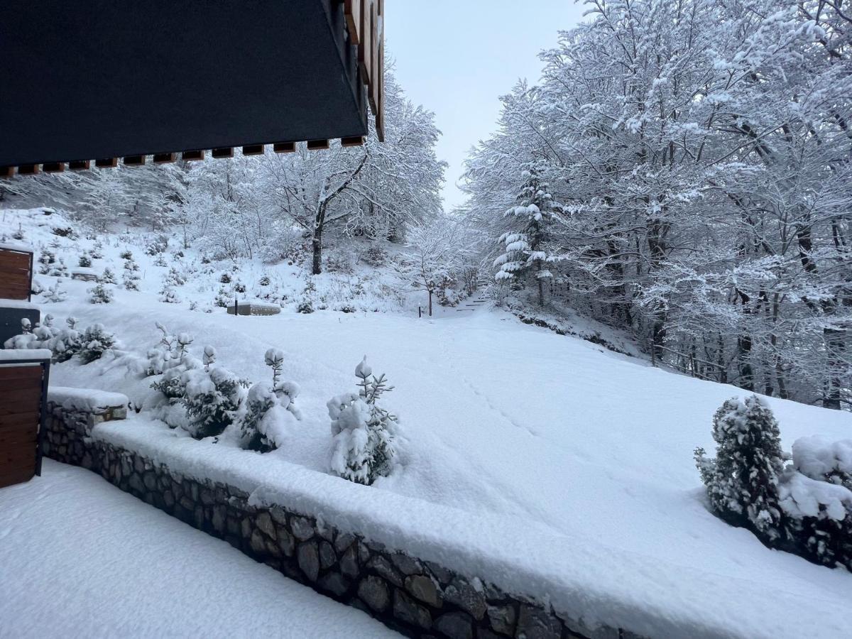 Mavrovo Ski Apartment Buitenkant foto